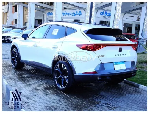 كوبرا فورمينتور 2024 أبيض مستعملة للبيع - 4