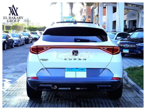 كوبرا فورمينتور 2024 أبيض مستعملة للبيع - 6