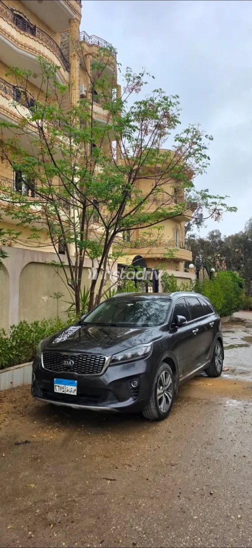 Kia Sorento 2019 White Used for Sale - 2