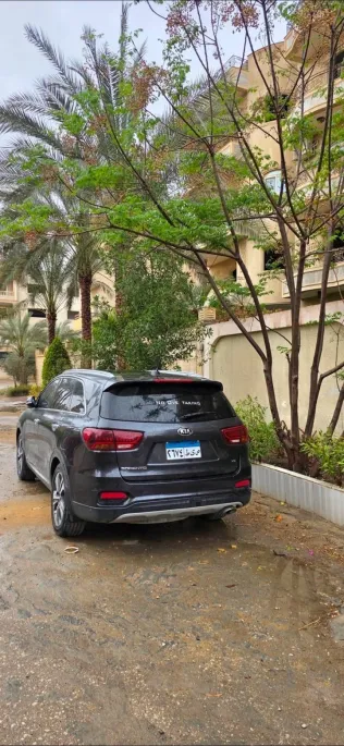 Kia Sorento 2019 White Used for Sale