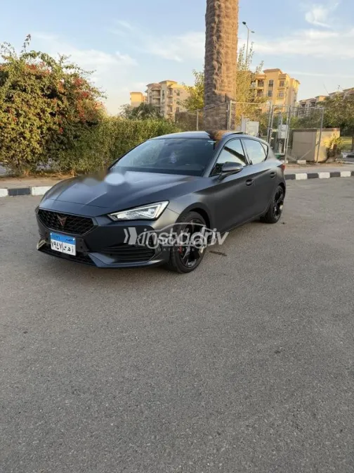 كوبرا ليون 2024 أسود مستعملة للبيع - 2