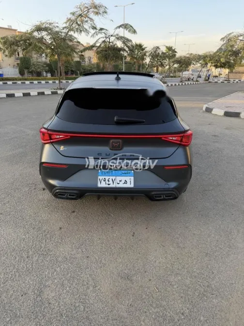 كوبرا ليون 2024 أسود مستعملة للبيع - 4