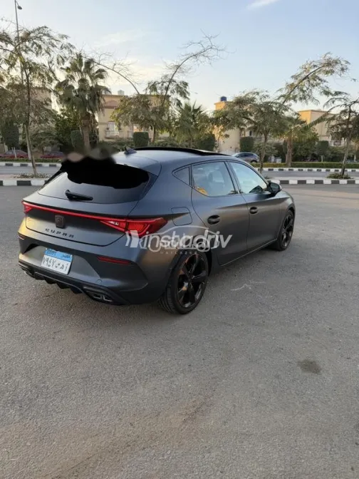 كوبرا ليون 2024 أسود مستعملة للبيع - 5