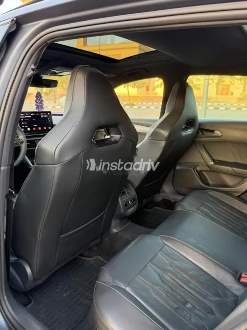 كوبرا ليون 2024 أسود مستعملة للبيع - 6