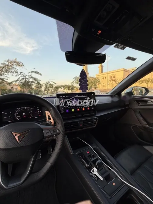 كوبرا ليون 2024 أسود مستعملة للبيع - 7