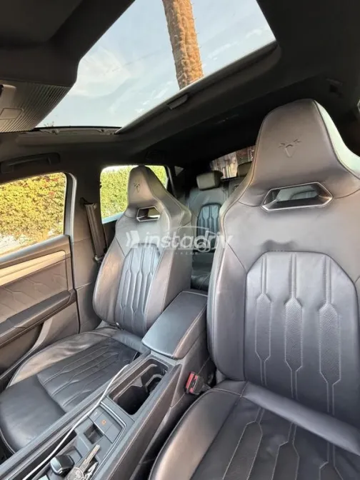 كوبرا ليون 2024 أسود مستعملة للبيع - 8