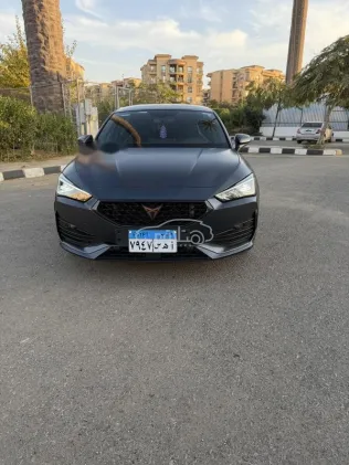 كوبرا ليون 2024 أسود مستعملة للبيع