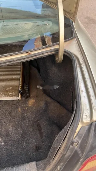 دايو نوبيرا 2 2001 برونزي مستعملة للبيع