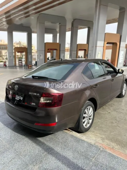 سكودا اوكتافيا 2016 بني مستعملة للبيع - 5