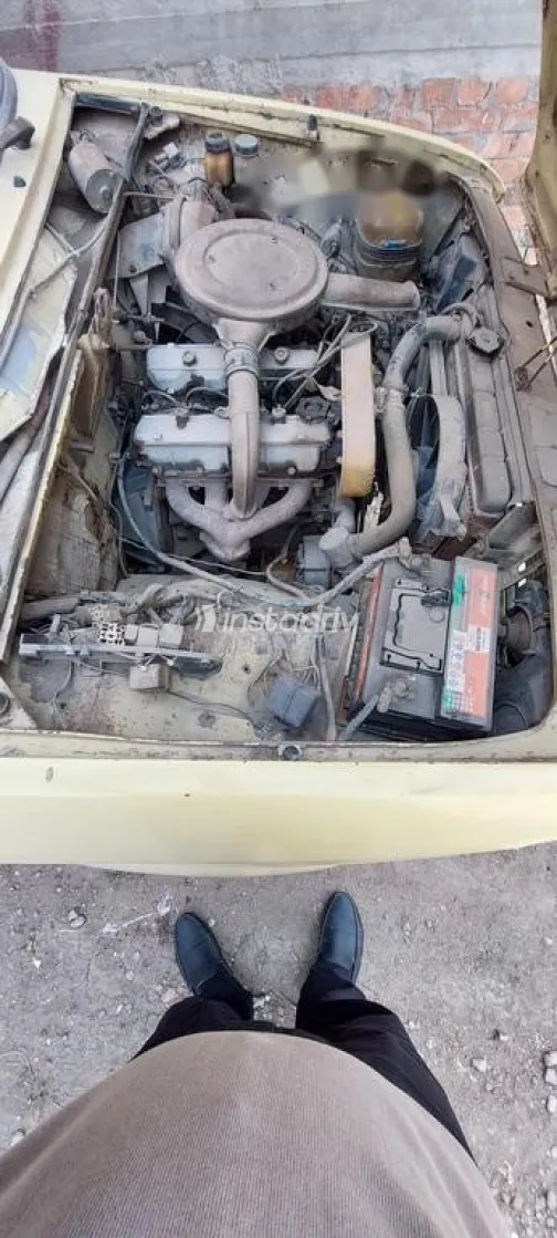 فيات 128 1979 أخضر مستعملة للبيع - 1