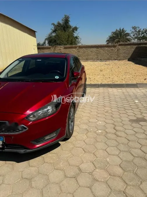 فورد فوكس 2017 أبيض مستعملة للبيع - 2