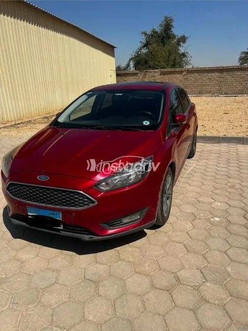 فورد فوكس 2017 أبيض مستعملة للبيع - 3