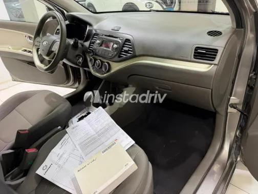 Kia Picanto 2016 Gold Used for Sale - 10