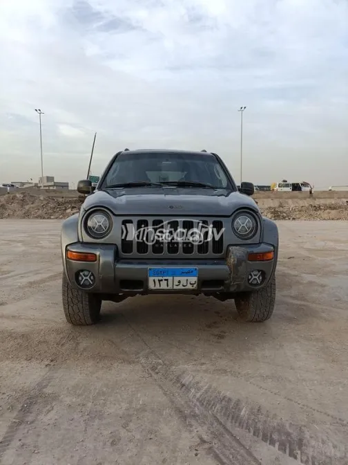 جيب ليبيرتى 2004 رمادي مستعملة للبيع - 1