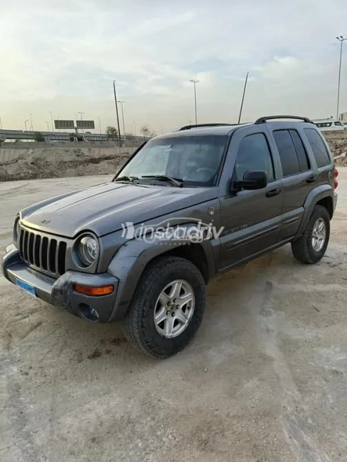 جيب ليبيرتى 2004 رمادي مستعملة للبيع - 2