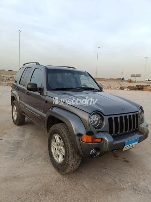 جيب ليبيرتى 2004 رمادي مستعملة للبيع - 3