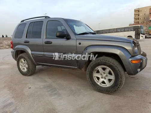 جيب ليبيرتى 2004 رمادي مستعملة للبيع - 4