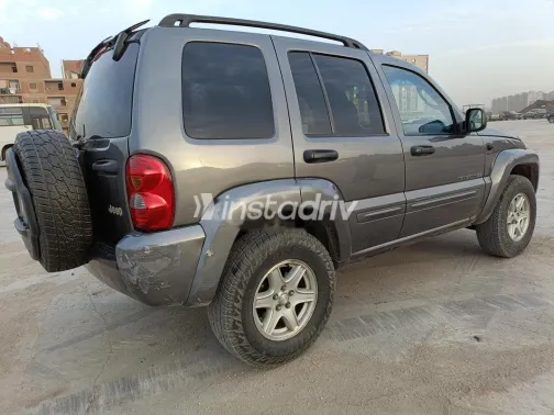 جيب ليبيرتى 2004 رمادي مستعملة للبيع - 7