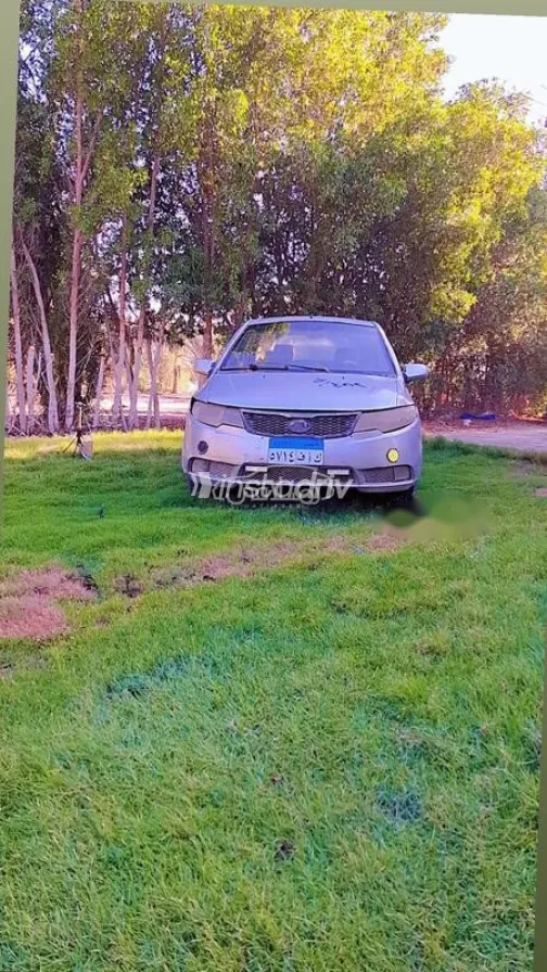 فاو قيتا 2009 فضي مستعملة للبيع - 9