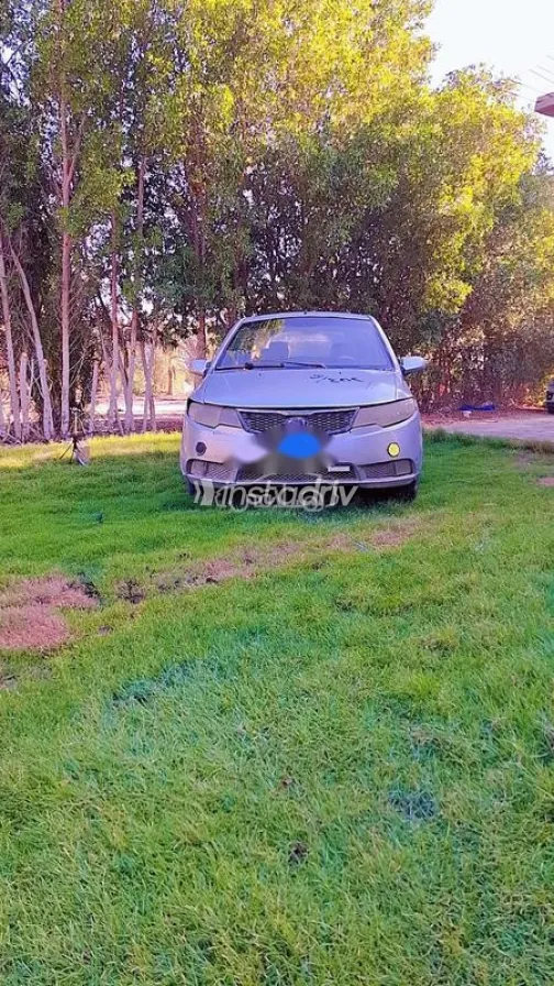 فاو قيتا 2009 فضي مستعملة للبيع - 10