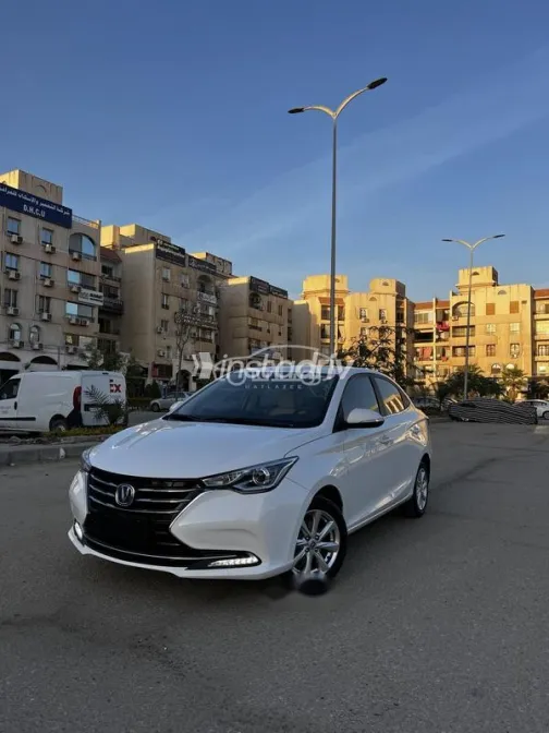 شانجان ألسفن 2024 أبيض مستعملة للبيع - 1