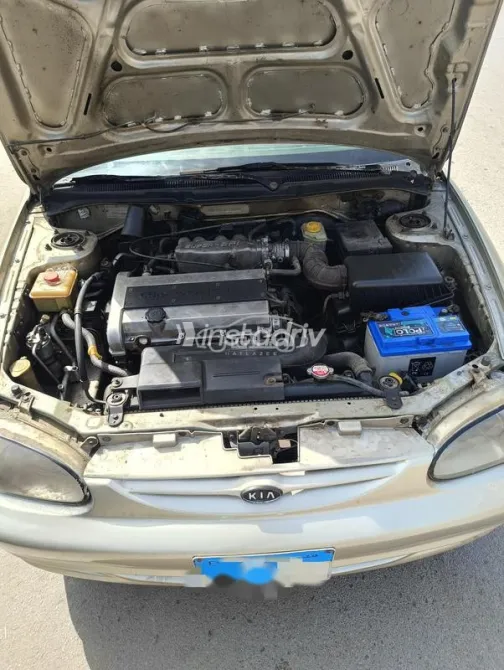 كيا سيفيا 1999 شامبين مستعملة للبيع - 9