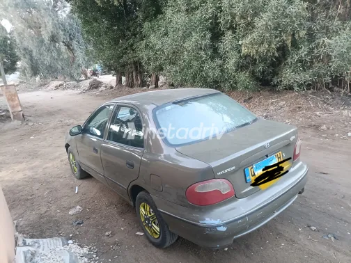 Hyundai Accent 2001 White Used for Sale - 5