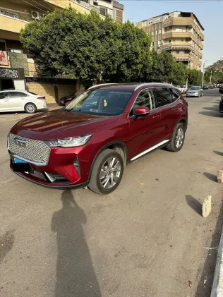 هافال H6 2024 أبيض مستعملة للبيع