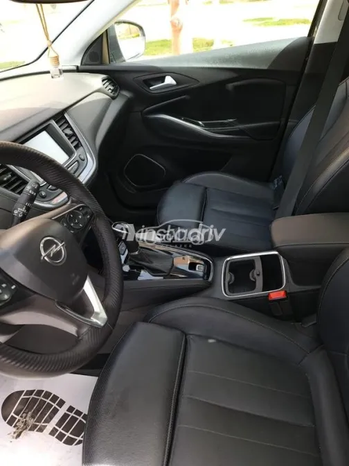 اوبل جراند لاند 2019 رمادي غامق مستعملة للبيع - 4