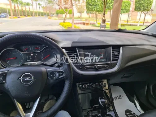 اوبل جراند لاند 2019 رمادي غامق مستعملة للبيع - 8