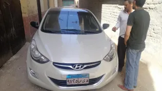 Hyundai Elantra 2012 Beige Used for Sale