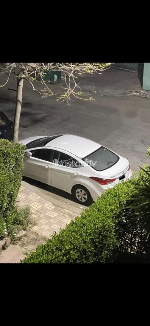 Hyundai Elantra MD 2013 White Used for Sale - 3