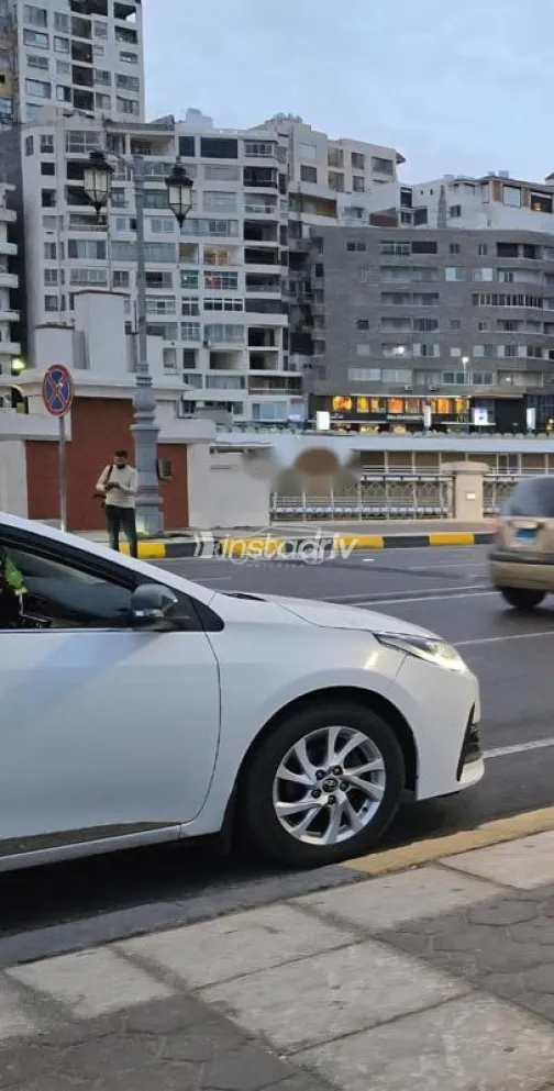 Toyota Corolla 2019 White Used for Sale - 2