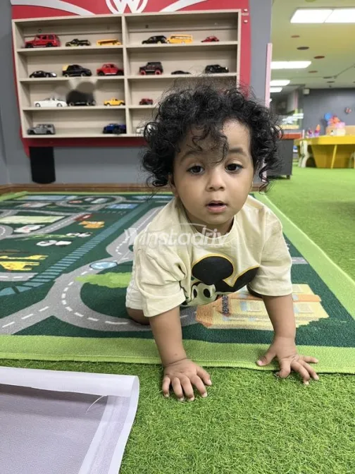 Fiat Palio 2008 Green Used for Sale - 7