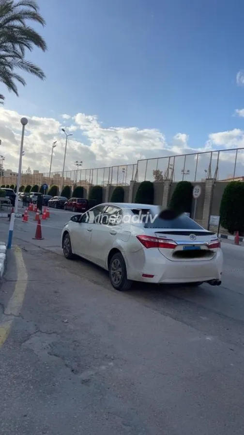 Toyota Corolla 2015 White Used for Sale - 2