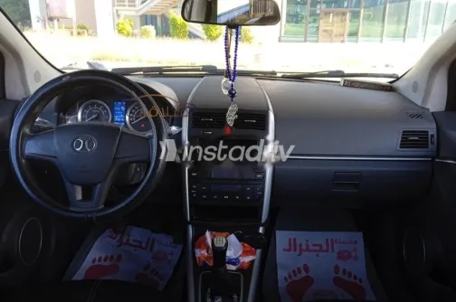 Senova A1 2016 Gray Used for Sale - 1