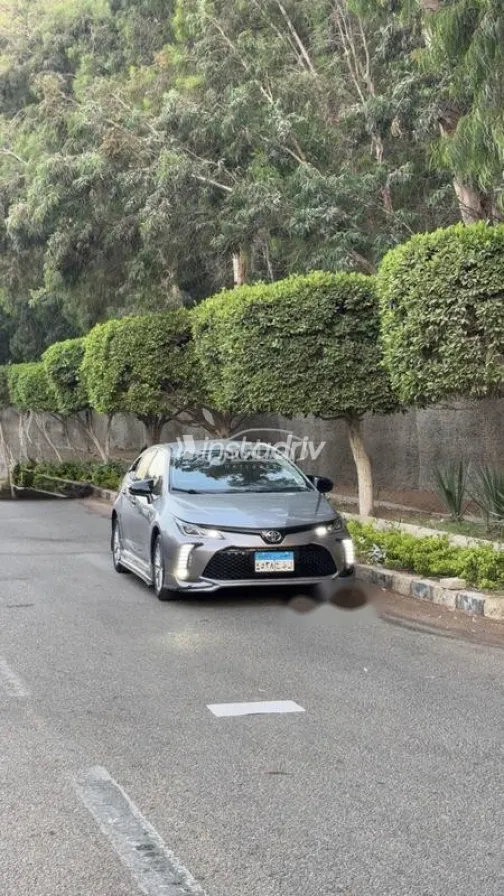 تويوتا كورولا 2019 أبيض مستعملة للبيع - 2
