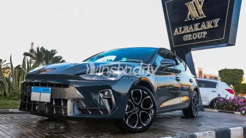 Cupra Leon 2025 Gray Used for Sale - 1