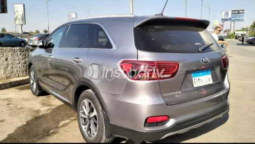 Kia Sorento 2019 White Used for Sale - 2