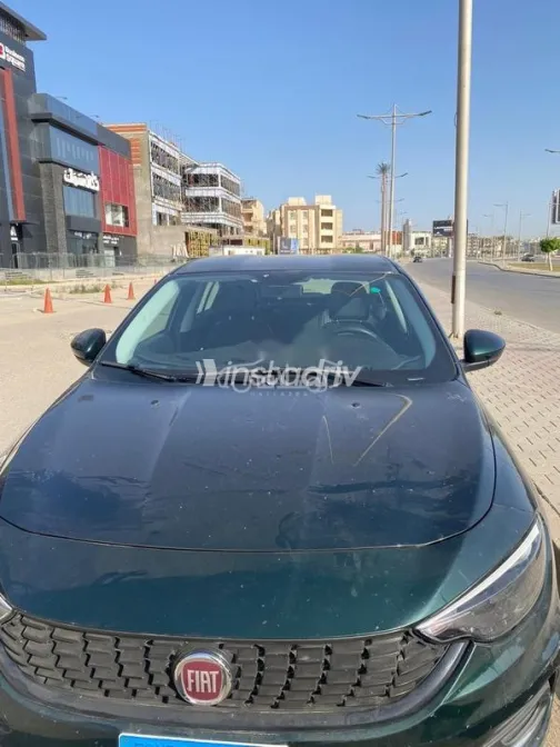 Fiat Tipo 2021 Dark Green Used for Sale - 3