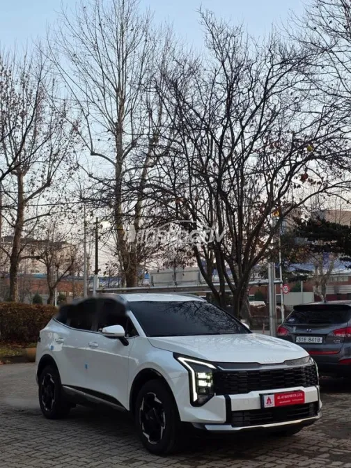 Kia Sportage 2025 White Used for Sale - 7