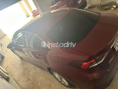 Toyota Corolla 2019 Dark Red Used for Sale - 2