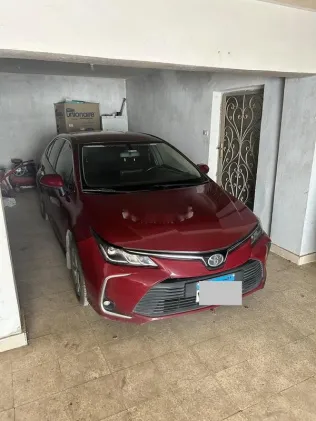 Toyota Corolla 2019 Dark Red Used for Sale