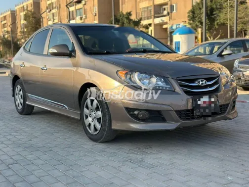 Hyundai Elantra 2018 Brown Used for Sale - 2