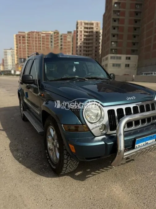 جيب ليبيرتى 2004 أخضر مستعملة للبيع - 7