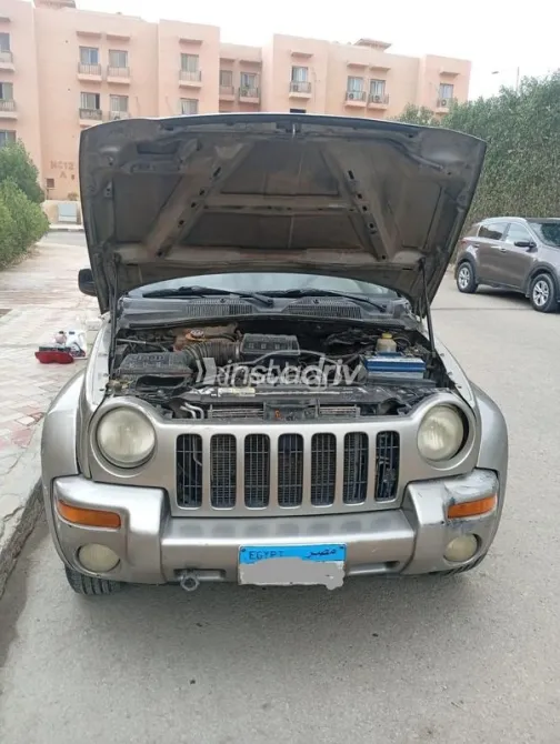 جيب ليبيرتى 2002 شامبين مستعملة للبيع - 8