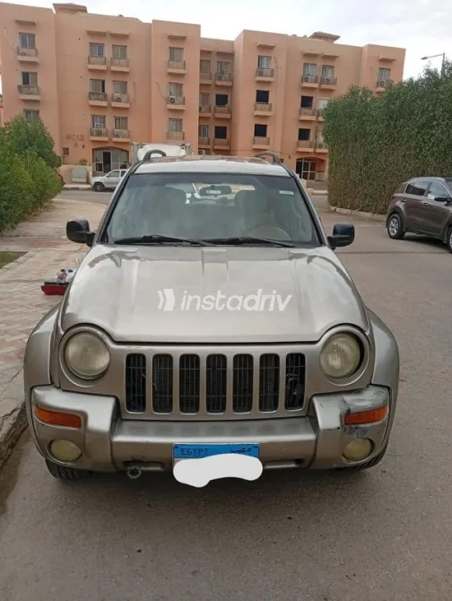جيب ليبيرتى 2002 شامبين مستعملة للبيع - 9