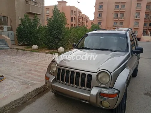 جيب ليبيرتى 2002 شامبين مستعملة للبيع - 10