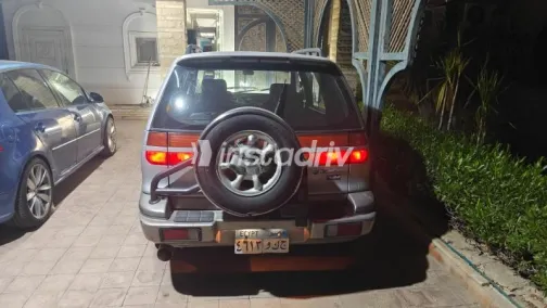 Hyundai Santamo 2001 Silver Used for Sale - 6