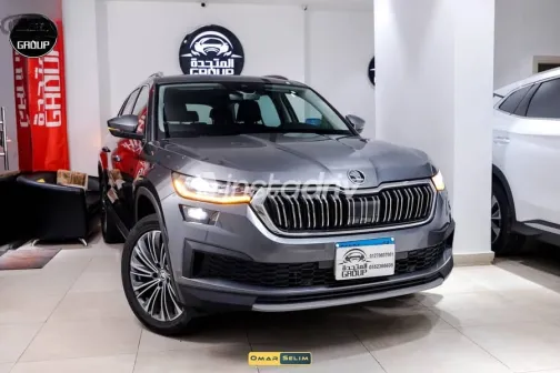 Skoda Kodiaq 2024 Gray Used for Sale - 1